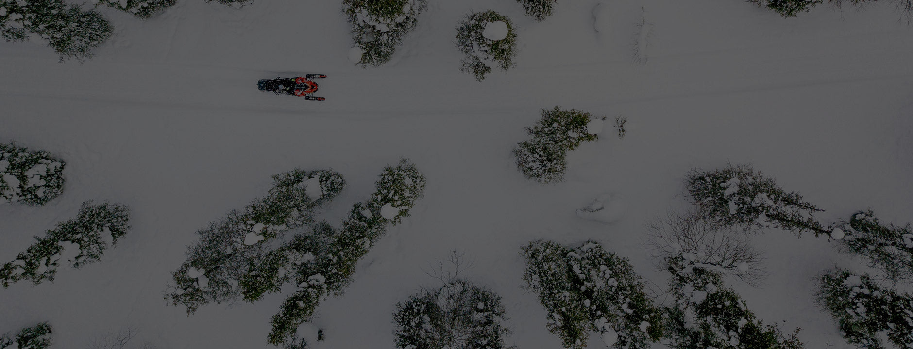 What's In The Box – Sledder Box